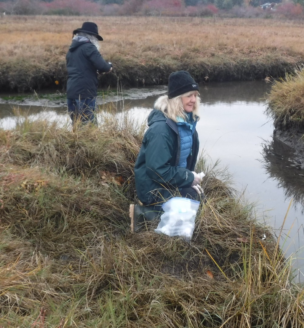 Estuarywaterquality