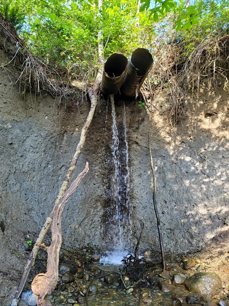 Shellyfarmoldculverts