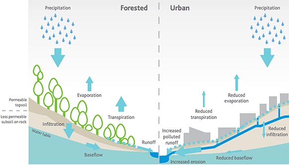 stormwater