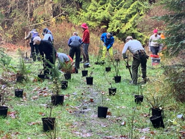 MVIHES Volunteers Rock...and dig and plant, etc