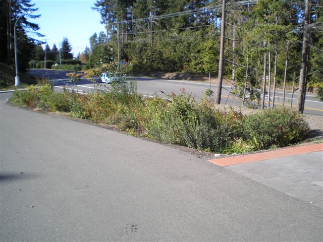 Completed demonstration rain garden near Kwalikum Secondary School