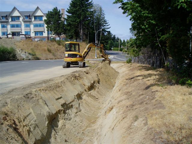 raingarden2.jpg