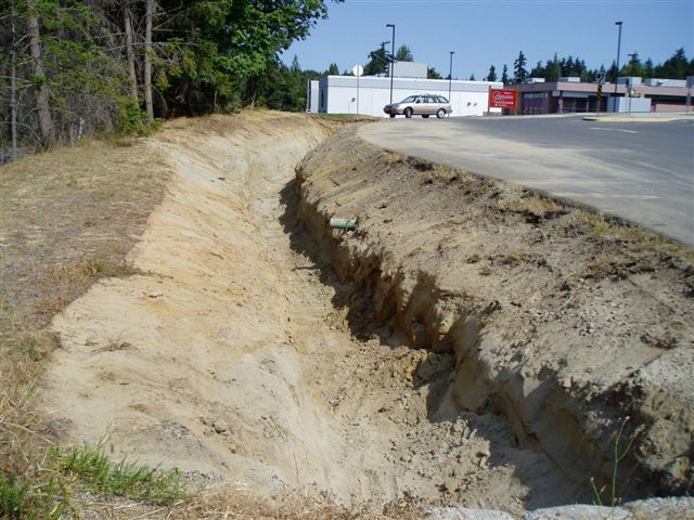 raingarden3.jpg