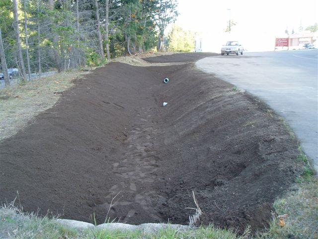 raingarden9.jpg