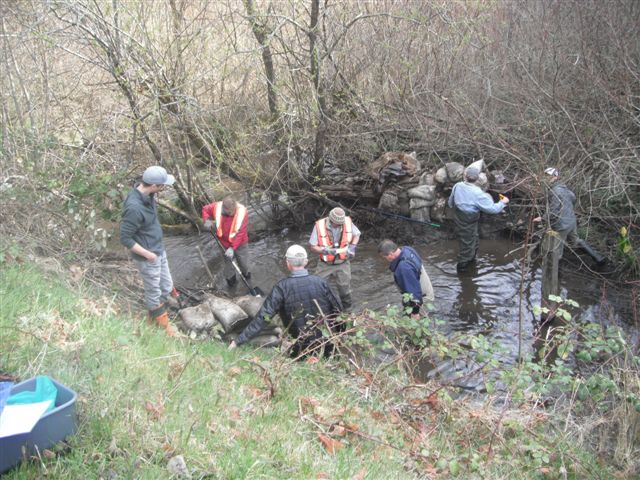 Smolt Trap 